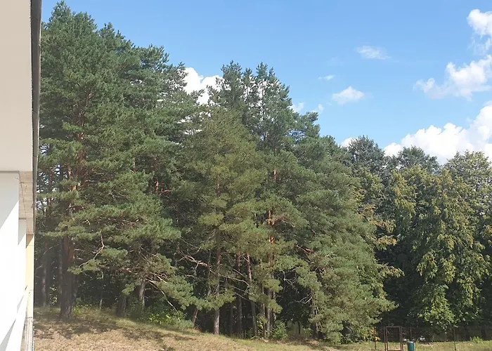 Garden By The With Air-con And Infrasauna Apartment